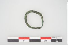 Foto von Bronzering (NHMW-PRAE-026654)